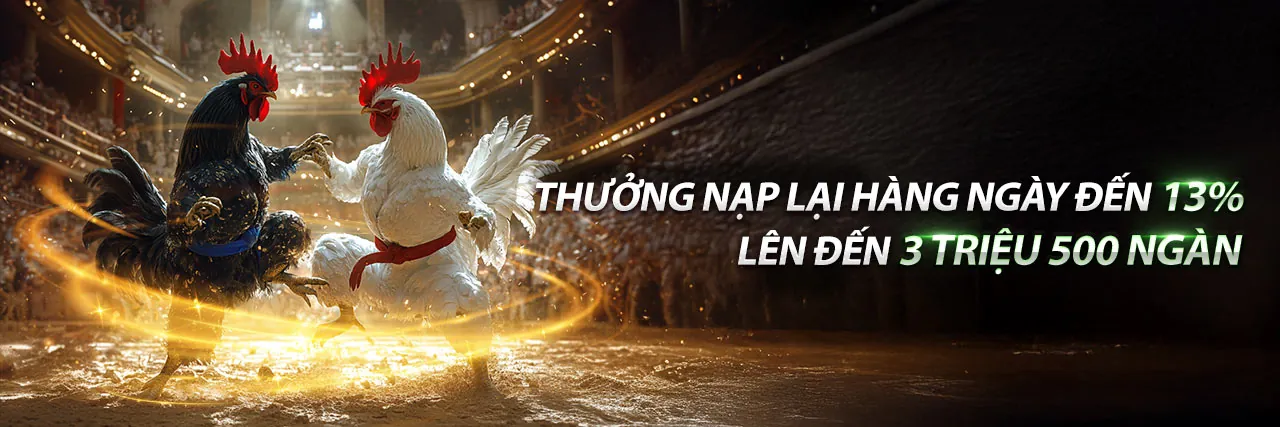 Mẹo và chiến lược tận dụng ưu đãi pog79